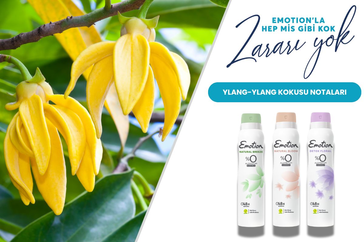 Ylang-Ylang Kokusu Nedir? Egzotik Çiçeksi Aromalar