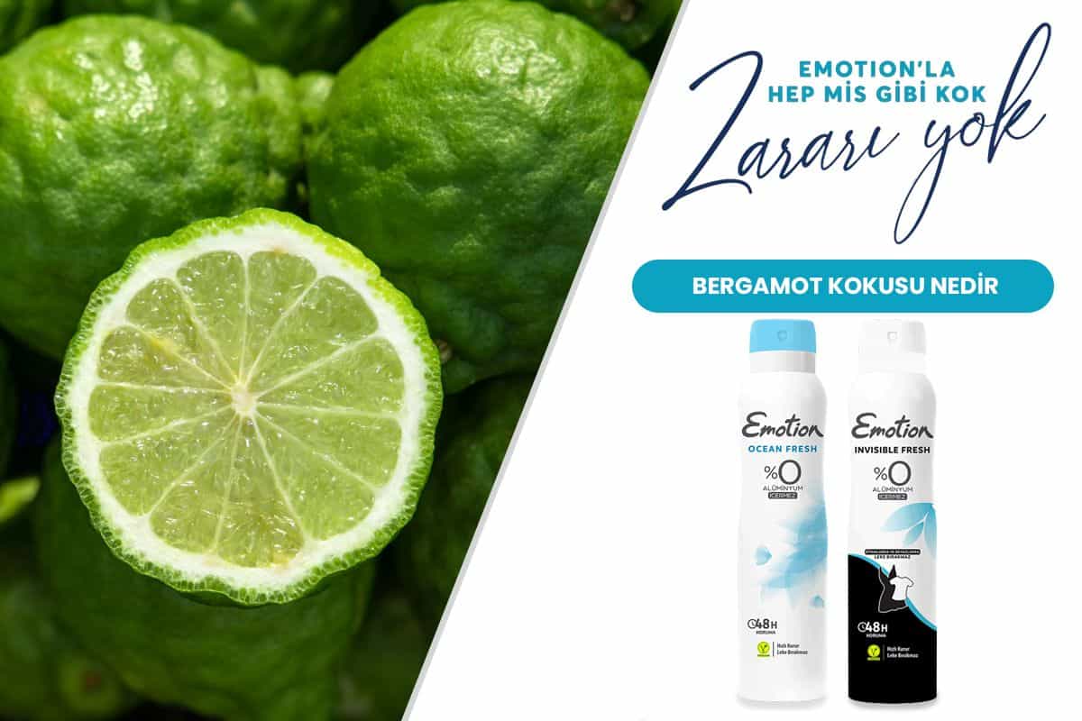 Bergamot Kokusu Nedir