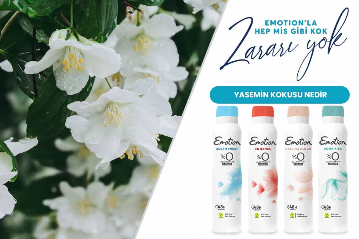 yasemin kokusu nedir